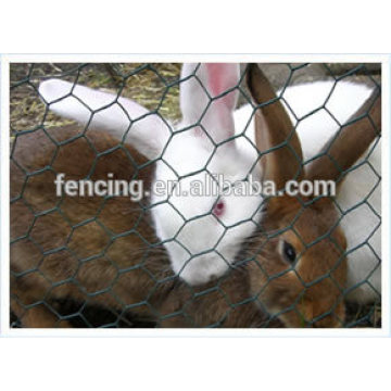 Hexagonal wire mesh, netting for breed aquatics and cultivation